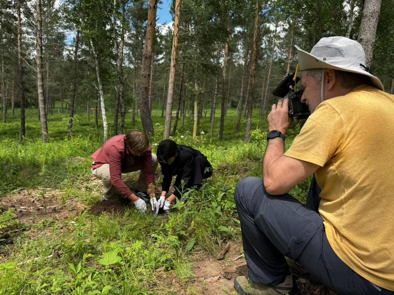 202508041726137094.jpeg 202508041726137094.jpeg